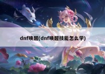 dnf唤醒(dnf唤醒技能怎么学)