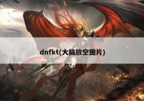 dnfkt(大脑放空图片)