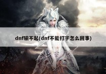 dnf输不起(dnf不能打字怎么回事)