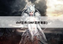 dnf花开(DNF花开寒影)