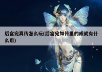 后宫宛真传怎么玩(后宫宛如传里的成就有什么用)