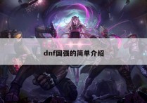 dnf国强的简单介绍