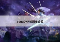 yogaDNF的简单介绍