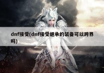 dnf接受(dnf接受继承的装备可以跨界吗)